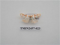 藏品(二斑叉紋苔蛾)的圖片